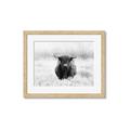 Picture of Hiding in the Grass _GroupedProduct_Rectangle_Landscape_Photography _GroupedProduct_Rectangle_Landscape_Framed_Matted_