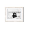 Picture of Hiding in the Grass _GroupedProduct_Rectangle_Landscape_Photography _GroupedProduct_Rectangle_Landscape_Framed_Matted_