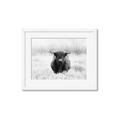 Picture of Hiding in the Grass _GroupedProduct_Rectangle_Landscape_Photography _GroupedProduct_Rectangle_Landscape_Framed_Matted_