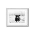 Picture of Hiding in the Grass _GroupedProduct_Rectangle_Landscape_Photography _GroupedProduct_Rectangle_Landscape_Framed_Matted_