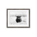 Picture of Hiding in the Grass _GroupedProduct_Rectangle_Landscape_Photography _GroupedProduct_Rectangle_Landscape_Framed_Matted_