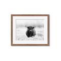 Picture of Hiding in the Grass _GroupedProduct_Rectangle_Landscape_Photography _GroupedProduct_Rectangle_Landscape_Framed_Matted_