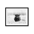 Picture of Hiding in the Grass _GroupedProduct_Rectangle_Landscape_Photography _GroupedProduct_Rectangle_Landscape_Framed_Matted_