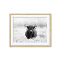 Picture of Hiding in the Grass _GroupedProduct_Rectangle_Landscape_Photography _GroupedProduct_Rectangle_Landscape_Framed_Matted_