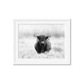 Picture of Hiding in the Grass _GroupedProduct_Rectangle_Landscape_Photography _GroupedProduct_Rectangle_Landscape_Framed_Matted_