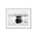 Picture of Hiding in the Grass _GroupedProduct_Rectangle_Landscape_Photography _GroupedProduct_Rectangle_Landscape_Framed_Matted_
