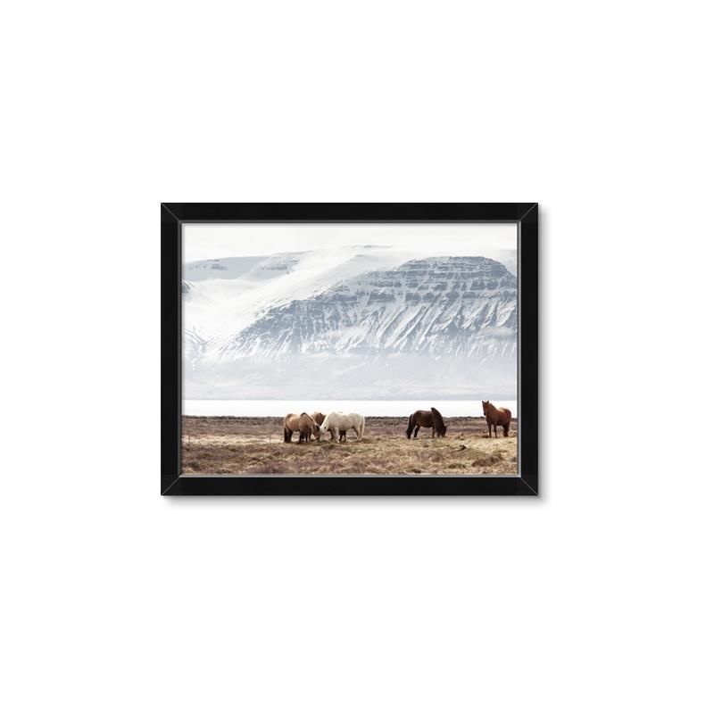 Picture of Wild Horses _GroupedProduct_Rectangle_Landscape_Photography _GroupedProduct_Rectangle_Landscape_Framed_Matted_