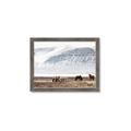 Picture of Wild Horses _GroupedProduct_Rectangle_Landscape_Photography _GroupedProduct_Rectangle_Landscape_Framed_Matted_