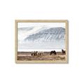 Picture of Wild Horses _GroupedProduct_Rectangle_Landscape_Photography _GroupedProduct_Rectangle_Landscape_Framed_Matted_