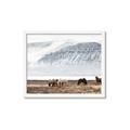Picture of Wild Horses _GroupedProduct_Rectangle_Landscape_Photography _GroupedProduct_Rectangle_Landscape_Framed_Matted_