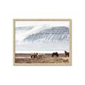 Picture of Wild Horses _GroupedProduct_Rectangle_Landscape_Photography _GroupedProduct_Rectangle_Landscape_Framed_Matted_