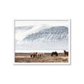 Picture of Wild Horses _GroupedProduct_Rectangle_Landscape_Photography _GroupedProduct_Rectangle_Landscape_Framed_Matted_
