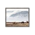 Picture of Wild Horses _GroupedProduct_Rectangle_Landscape_Photography _GroupedProduct_Rectangle_Landscape_Framed_Matted_