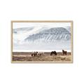Picture of Wild Horses _GroupedProduct_Rectangle_Landscape_Photography _GroupedProduct_Rectangle_Landscape_Framed_Matted_