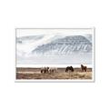 Picture of Wild Horses _GroupedProduct_Rectangle_Landscape_Photography _GroupedProduct_Rectangle_Landscape_Framed_Matted_