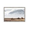 Picture of Wild Horses _GroupedProduct_Rectangle_Landscape_Photography _GroupedProduct_Rectangle_Landscape_Framed_Matted_