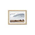 Picture of Wild Horses _GroupedProduct_Rectangle_Landscape_Photography _GroupedProduct_Rectangle_Landscape_Framed_Matted_