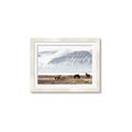 Picture of Wild Horses _GroupedProduct_Rectangle_Landscape_Photography _GroupedProduct_Rectangle_Landscape_Framed_Matted_