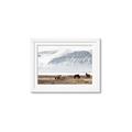 Picture of Wild Horses _GroupedProduct_Rectangle_Landscape_Photography _GroupedProduct_Rectangle_Landscape_Framed_Matted_