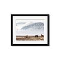 Picture of Wild Horses _GroupedProduct_Rectangle_Landscape_Photography _GroupedProduct_Rectangle_Landscape_Framed_Matted_