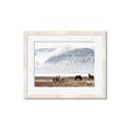 Picture of Wild Horses _GroupedProduct_Rectangle_Landscape_Photography _GroupedProduct_Rectangle_Landscape_Framed_Matted_