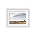 Picture of Wild Horses _GroupedProduct_Rectangle_Landscape_Photography _GroupedProduct_Rectangle_Landscape_Framed_Matted_
