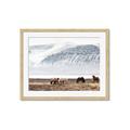 Picture of Wild Horses _GroupedProduct_Rectangle_Landscape_Photography _GroupedProduct_Rectangle_Landscape_Framed_Matted_