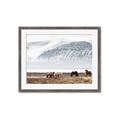 Picture of Wild Horses _GroupedProduct_Rectangle_Landscape_Photography _GroupedProduct_Rectangle_Landscape_Framed_Matted_