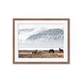Picture of Wild Horses _GroupedProduct_Rectangle_Landscape_Photography _GroupedProduct_Rectangle_Landscape_Framed_Matted_