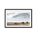 Picture of Wild Horses _GroupedProduct_Rectangle_Landscape_Photography _GroupedProduct_Rectangle_Landscape_Framed_Matted_
