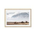 Picture of Wild Horses _GroupedProduct_Rectangle_Landscape_Photography _GroupedProduct_Rectangle_Landscape_Framed_Matted_
