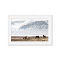 Picture of Wild Horses _GroupedProduct_Rectangle_Landscape_Photography _GroupedProduct_Rectangle_Landscape_Framed_Matted_