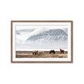Picture of Wild Horses _GroupedProduct_Rectangle_Landscape_Photography _GroupedProduct_Rectangle_Landscape_Framed_Matted_