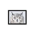 Picture of Close-up The Owl Head _GroupedProduct_Rectangle_Landscape_Framed_Matted_
