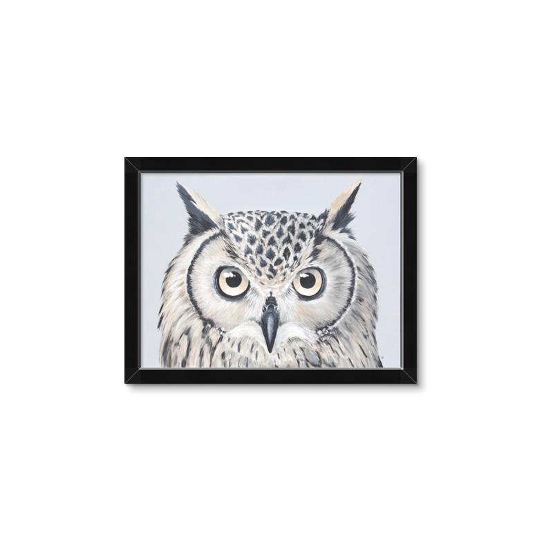 Picture of Close-up The Owl Head _GroupedProduct_Rectangle_Landscape_Framed_Matted_