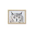 Picture of Close-up The Owl Head _GroupedProduct_Rectangle_Landscape_Framed_Matted_