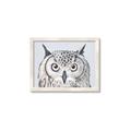 Picture of Close-up The Owl Head _GroupedProduct_Rectangle_Landscape_Framed_Matted_