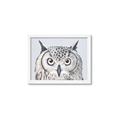 Picture of Close-up The Owl Head _GroupedProduct_Rectangle_Landscape_Framed_Matted_
