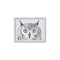 Picture of Close-up The Owl Head _GroupedProduct_Rectangle_Landscape_Framed_Matted_