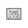 Picture of Close-up The Owl Head _GroupedProduct_Rectangle_Landscape_Framed_Matted_