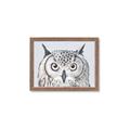 Picture of Close-up The Owl Head _GroupedProduct_Rectangle_Landscape_Framed_Matted_