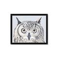 Picture of Close-up The Owl Head _GroupedProduct_Rectangle_Landscape_Framed_Matted_