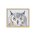 Picture of Close-up The Owl Head _GroupedProduct_Rectangle_Landscape_Framed_Matted_
