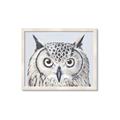 Picture of Close-up The Owl Head _GroupedProduct_Rectangle_Landscape_Framed_Matted_