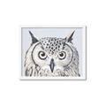 Picture of Close-up The Owl Head _GroupedProduct_Rectangle_Landscape_Framed_Matted_