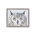 Picture of Close-up The Owl Head _GroupedProduct_Rectangle_Landscape_Framed_Matted_