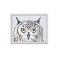 Picture of Close-up The Owl Head _GroupedProduct_Rectangle_Landscape_Framed_Matted_