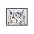 Picture of Close-up The Owl Head _GroupedProduct_Rectangle_Landscape_Framed_Matted_