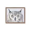 Picture of Close-up The Owl Head _GroupedProduct_Rectangle_Landscape_Framed_Matted_