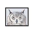 Picture of Close-up The Owl Head _GroupedProduct_Rectangle_Landscape_Framed_Matted_